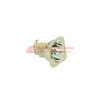 WW-AHEE-2 Image